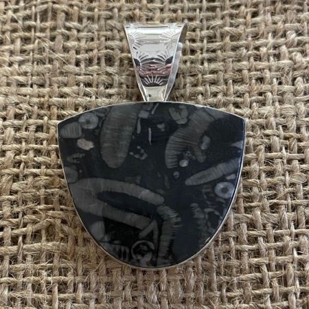 Crinoid Fossil Jasper Pendant
