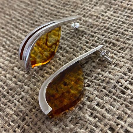 Amber Freeform J-Hoop Post Earrings